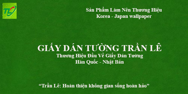 Giới Thiệu Tổng Quan Về Công Ty Trần Lê